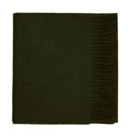 Showcasing a smooth, solid color, this 2-ply Lambswool scarf offers a clean, streamlined look with a gently textured surface, available in a range of elegant plain colors.